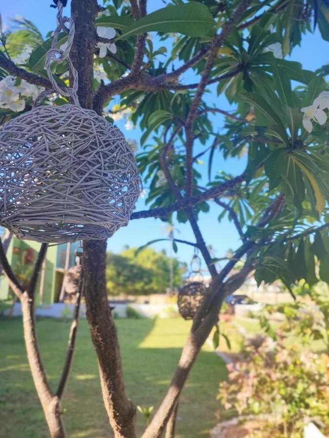 Casas Oceanicas Villa Icaraí Eksteriør billede